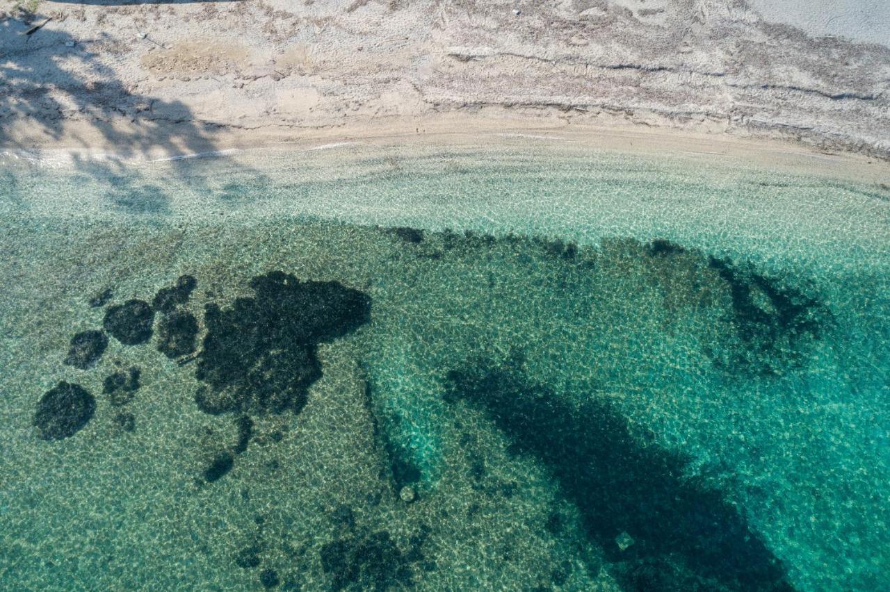 Bella Vista Beach Hotel Benitses  Dış mekan fotoğraf